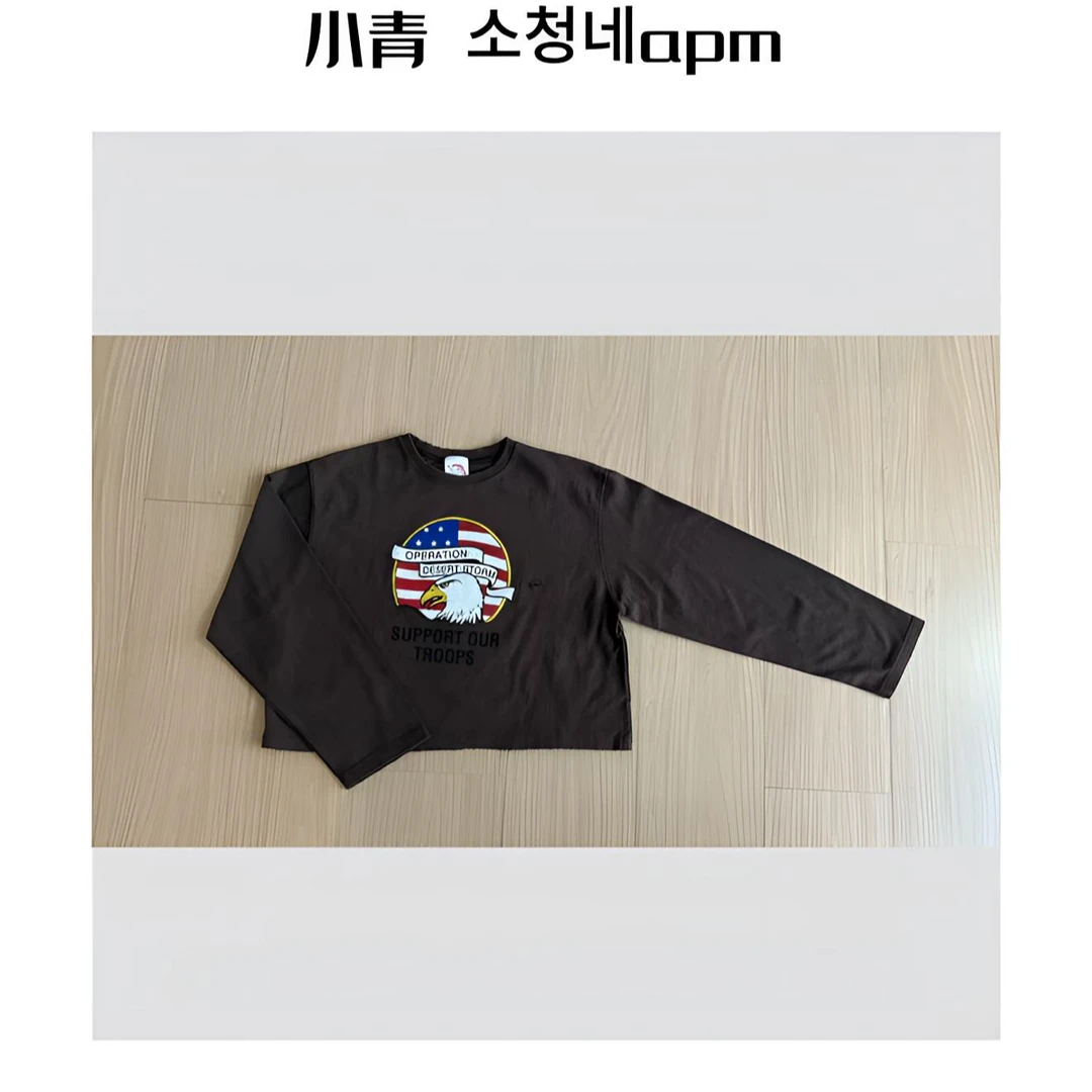 韩国东大门 公鸡/星星老鹰脑袋破洞T恤