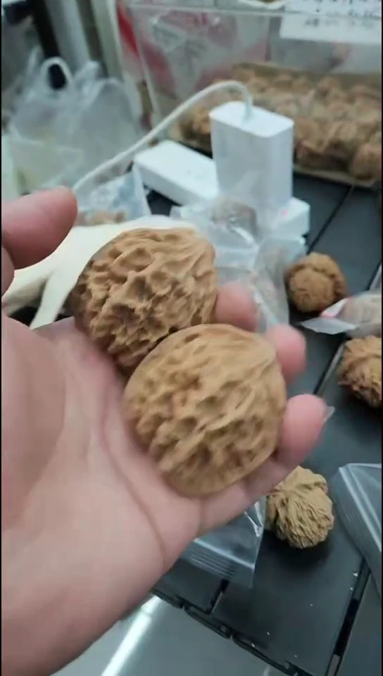 【帝王狮子头49尺寸】