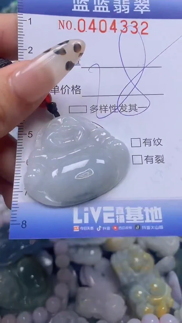 颈饰未镶嵌翡翠闪购0404332