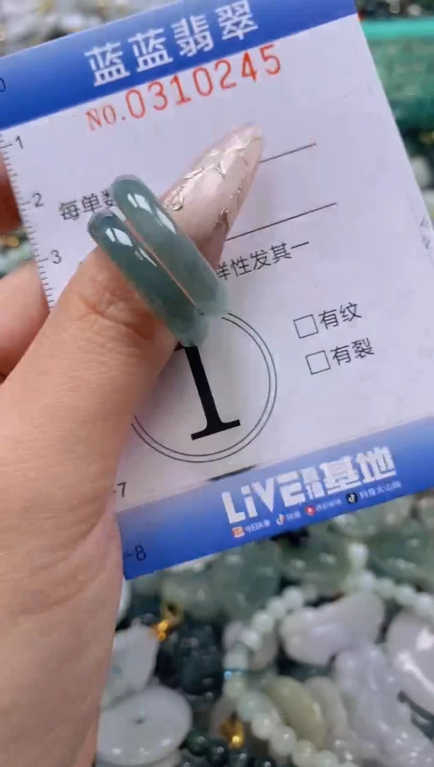 翡翠未镶嵌颈饰闪购0310245