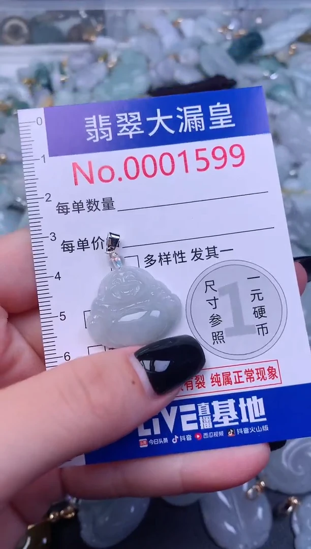 颈饰未镶嵌翡翠1599