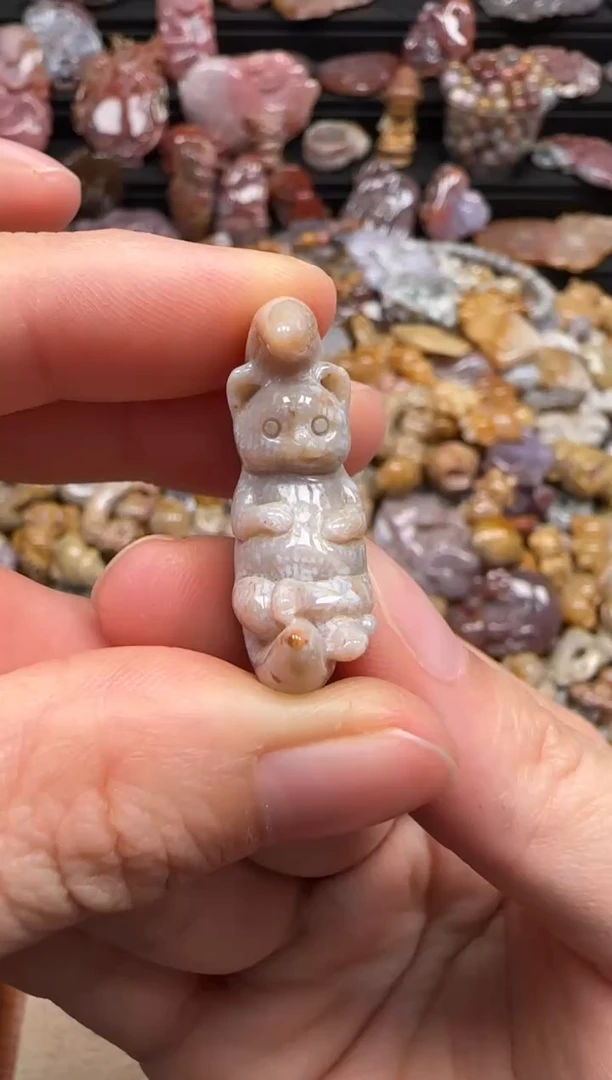 【闪购商品】硅化珊瑚（珊瑚玉）颈饰未镶嵌434