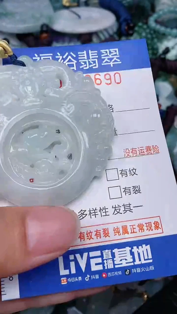 翡翠未镶嵌颈饰...0000690