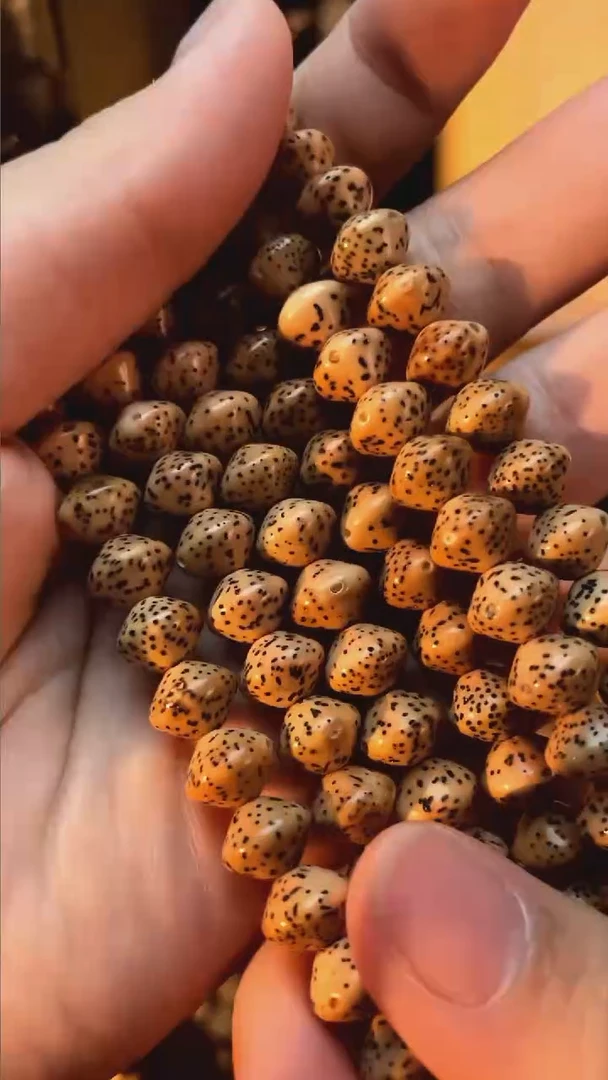 吊坠星月菩提精工级陈籽飞碟9*7长串（B）