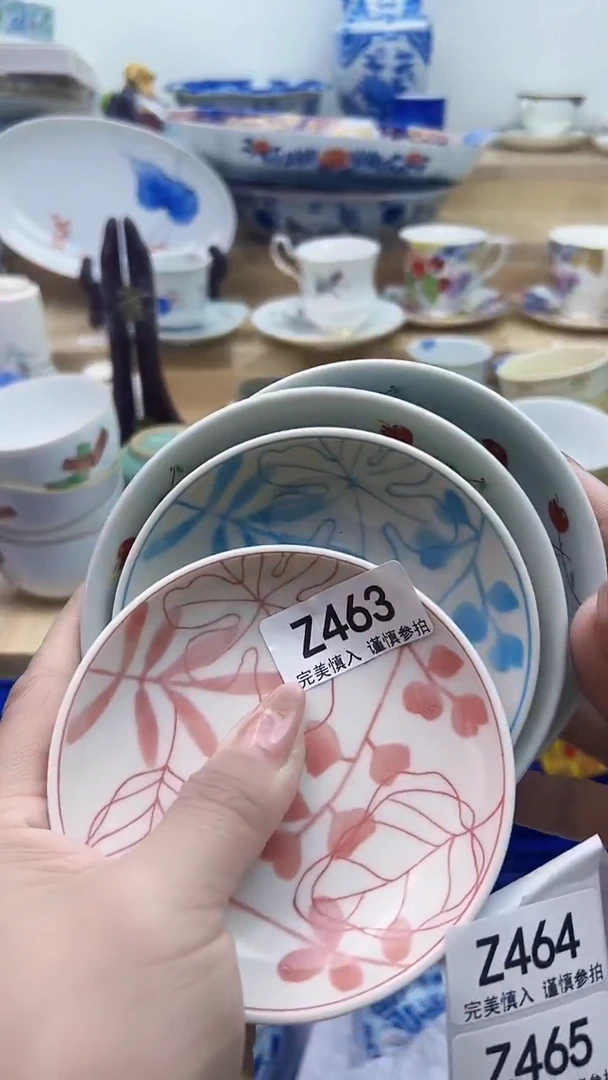 【闪购商品】瓷片463