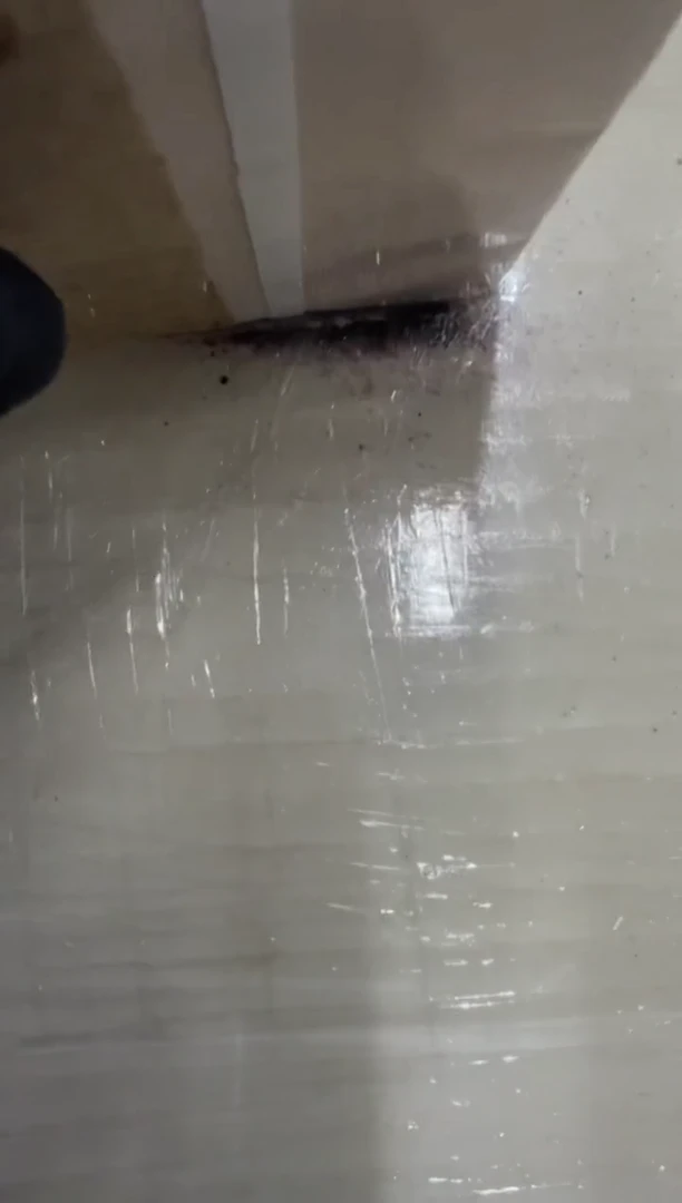 福利捆货千张连号 银行保真鉴定 五字金腰带 01 狮子8