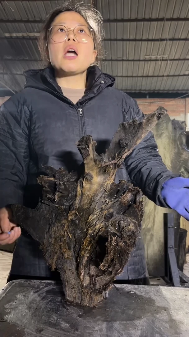 金丝楠32金丝楠小叶桢楠原材料