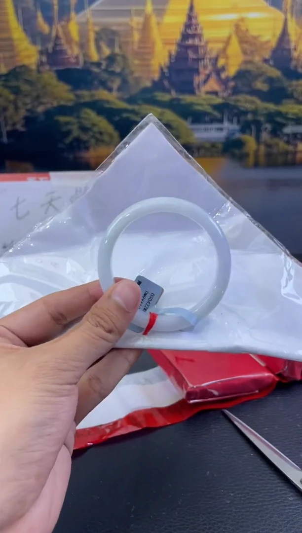 未镶嵌手镯翡翠9