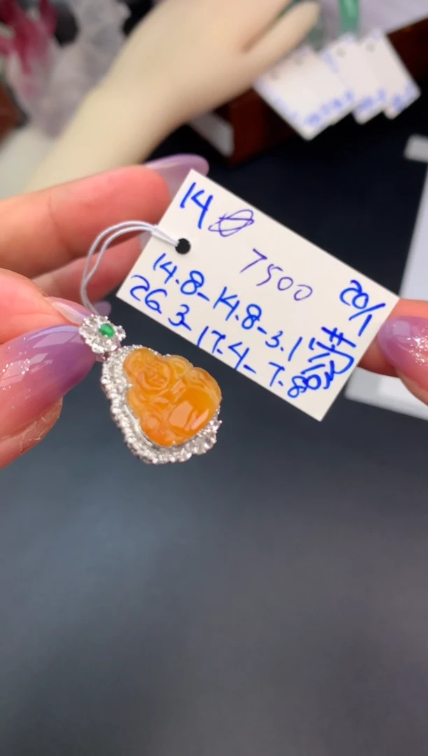 【闪购商品】翡翠颈饰未镶嵌挂件