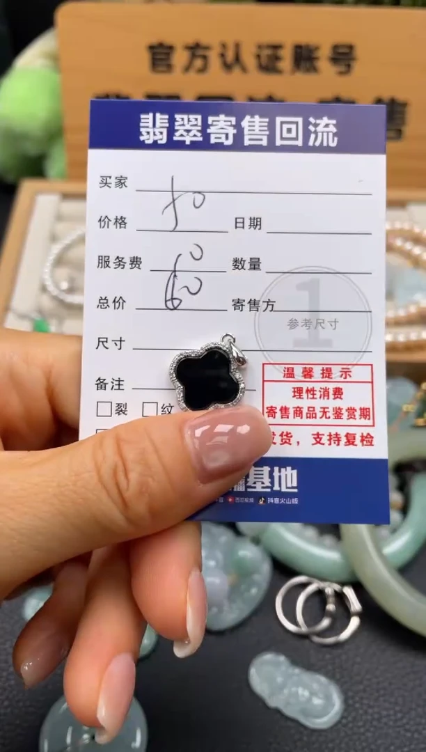 颈饰银S925镶嵌翡翠10150875