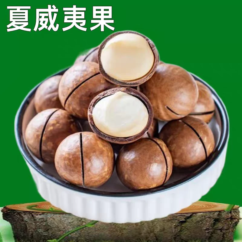 奶香夏威夷果袋装夏果新货休闲零食每日带壳健康炒货坚果干果