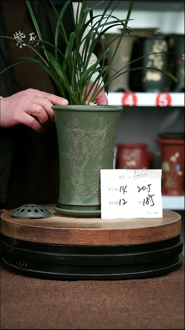 紫砂花盆花卉园艺6220+Z