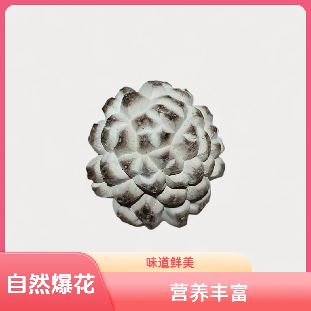 湖北随州原产地白花菇新货出口级花菇