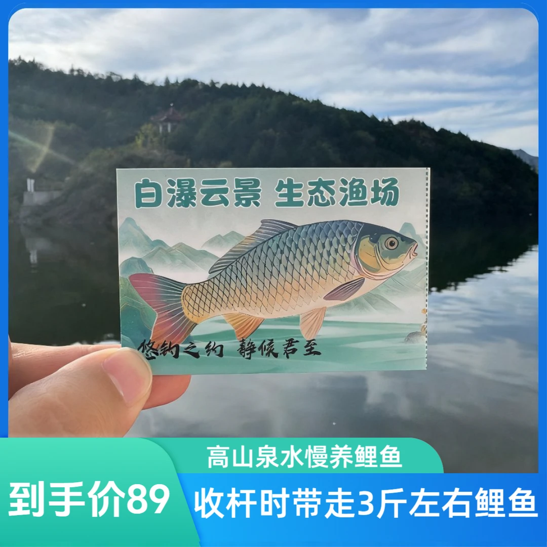 【白瀑云景冰鲜打包】生态山泉冷水水库鲤鱼2.7-3.5斤-活鱼现杀冰鲜打包