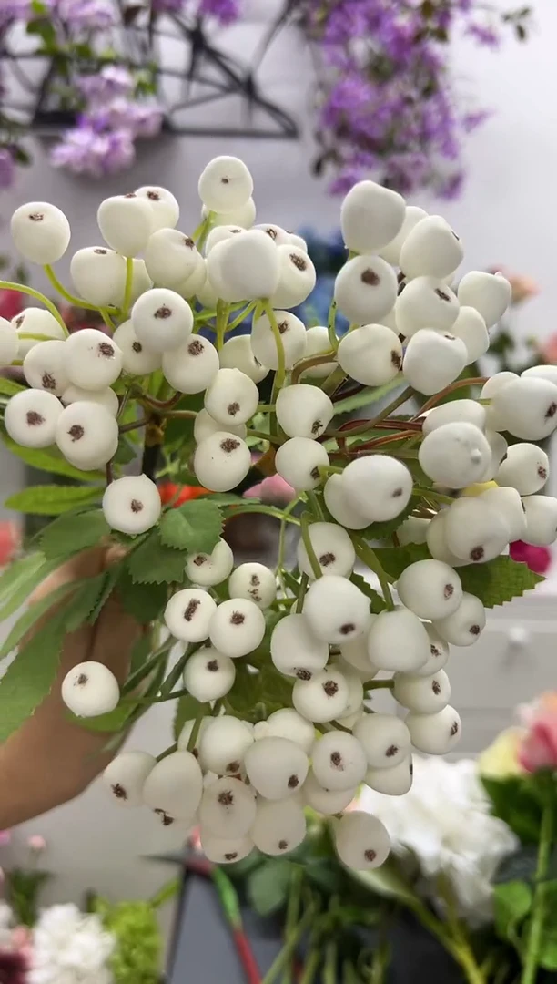 3枝白色蔓越莓果子