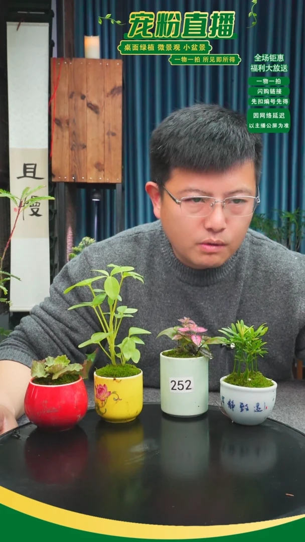 无花朵芳*苔藓微景观252号