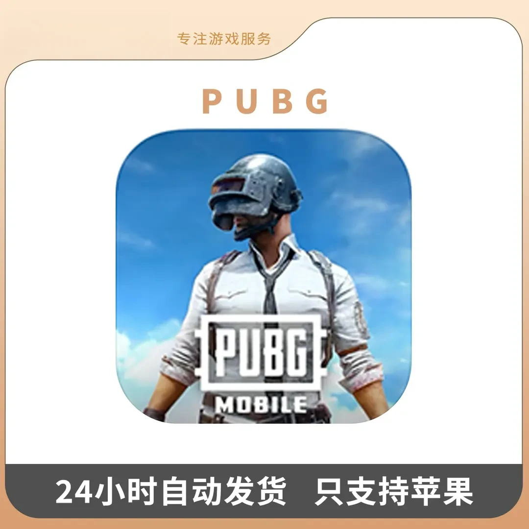 pubg 国际服 刺激战场 手机/ 游戏安装服务手机平板手游游戏安装