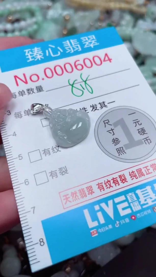 颈饰未镶嵌翡翠6004