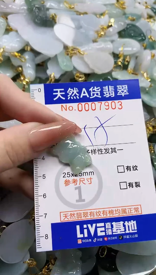 颈饰未镶嵌翡翠天然A货翡翠