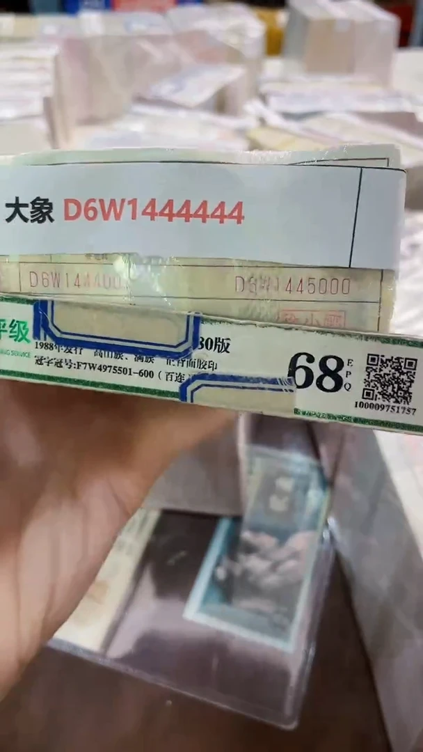 M 01,大象,D6W1444001