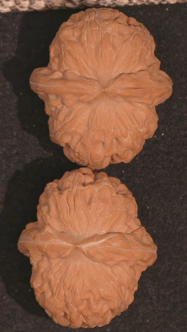 【闪购商品】文玩核桃把件元宝46全品