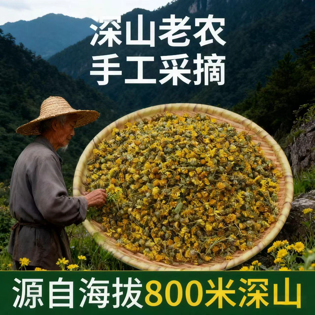 正品去火正宗无硫晒干正宗特级野菊花货野生菊花罐装菊花泡茶