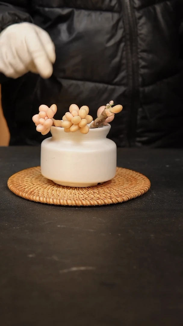 【闪购商品】瓷片景德镇泥泥陶瓷多肉花盆