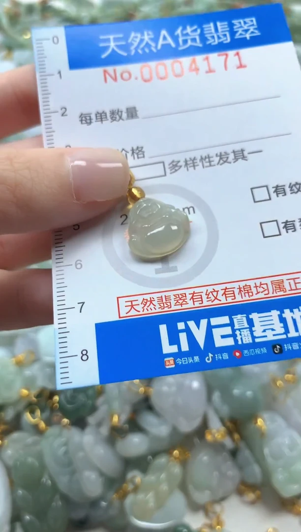 颈饰未镶嵌翡翠去4171