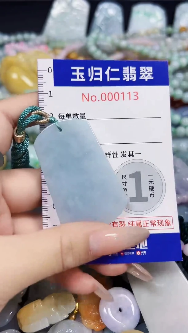 颈饰未镶嵌翡翠1069