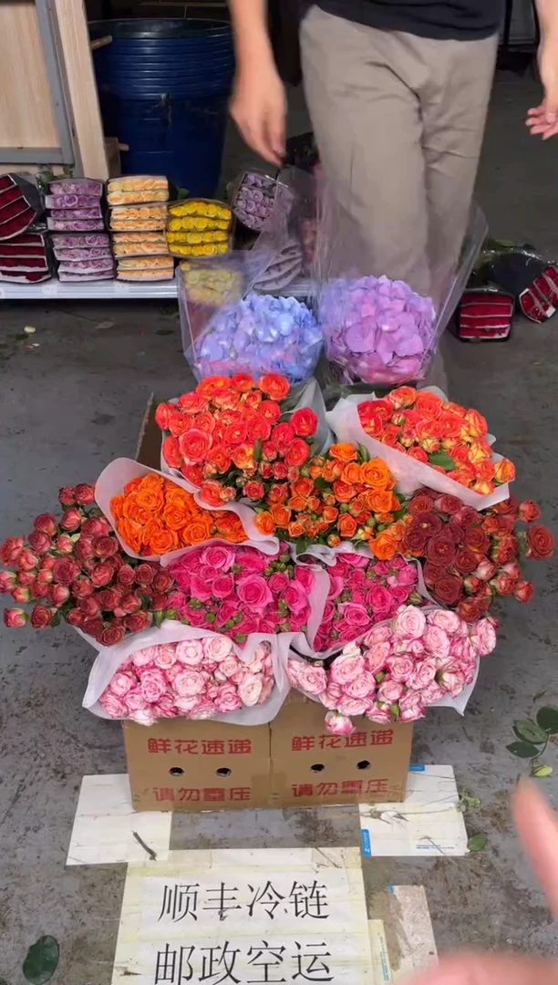 折射1扎+橙色芭比1扎+苏菲1扎+爱丽丝1扎+巧克力1扎+绣球