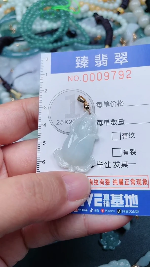 颈饰未镶嵌翡翠.0009792