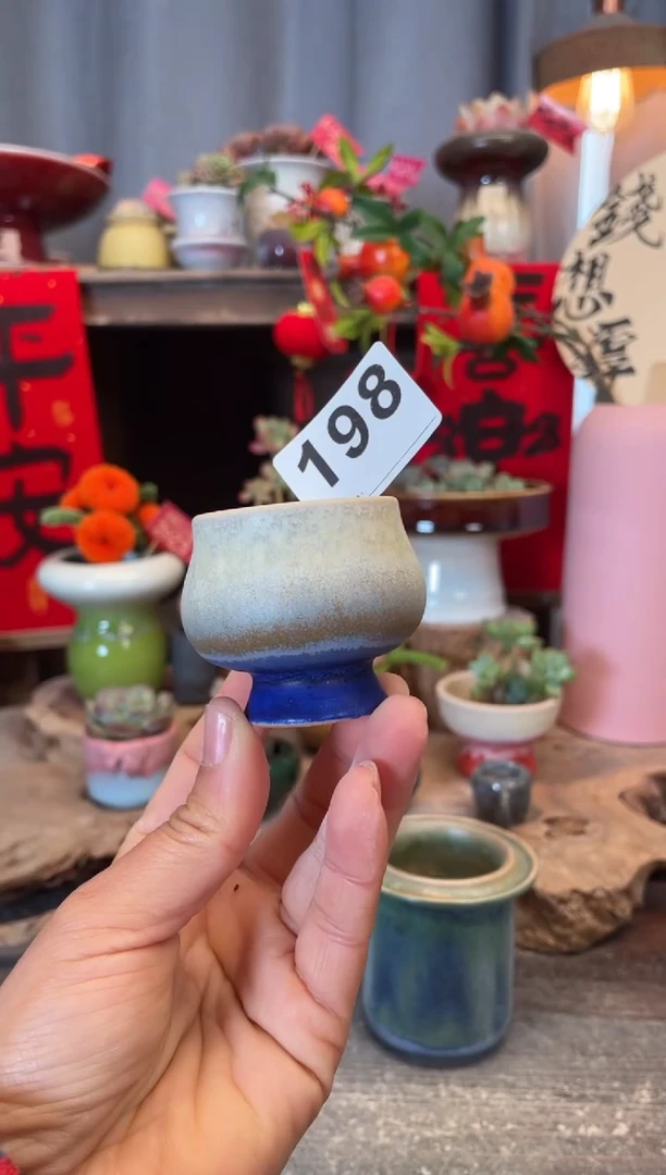 【闪购商品】摆件198知木小芳花盆