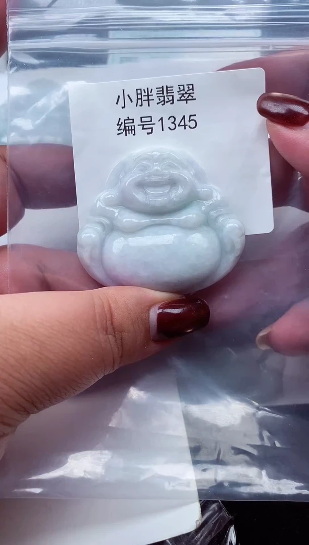 颈饰未镶嵌翡翠缅甸天然A货翡翠1345