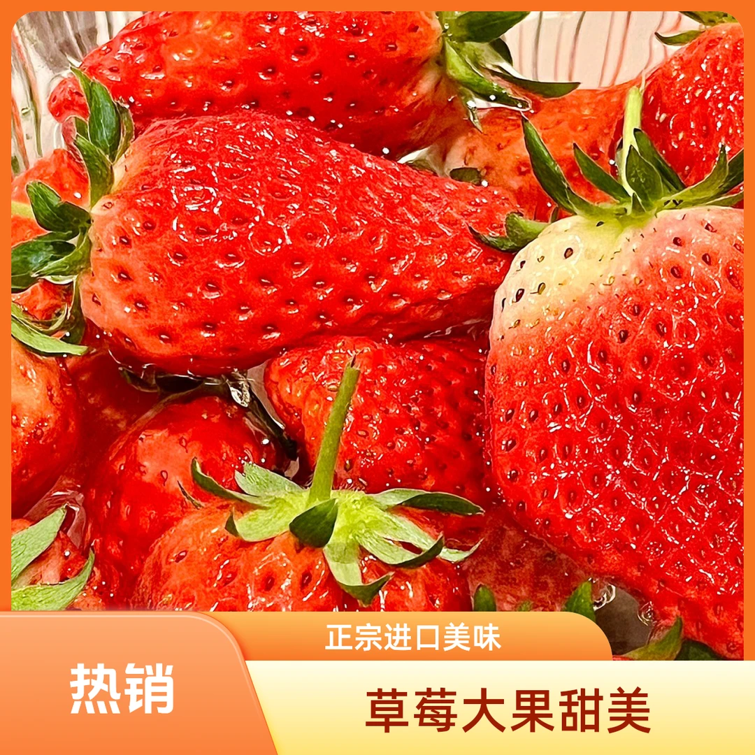 【丹东草莓】果味浓郁 香甜饱满  单盒250g左右