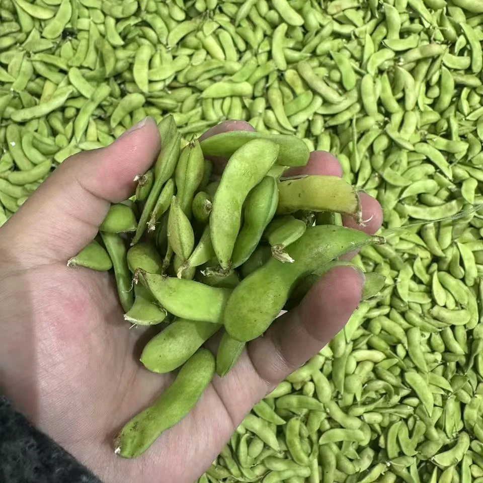 毛豆约500g毛豆同城送毛豆同城配
