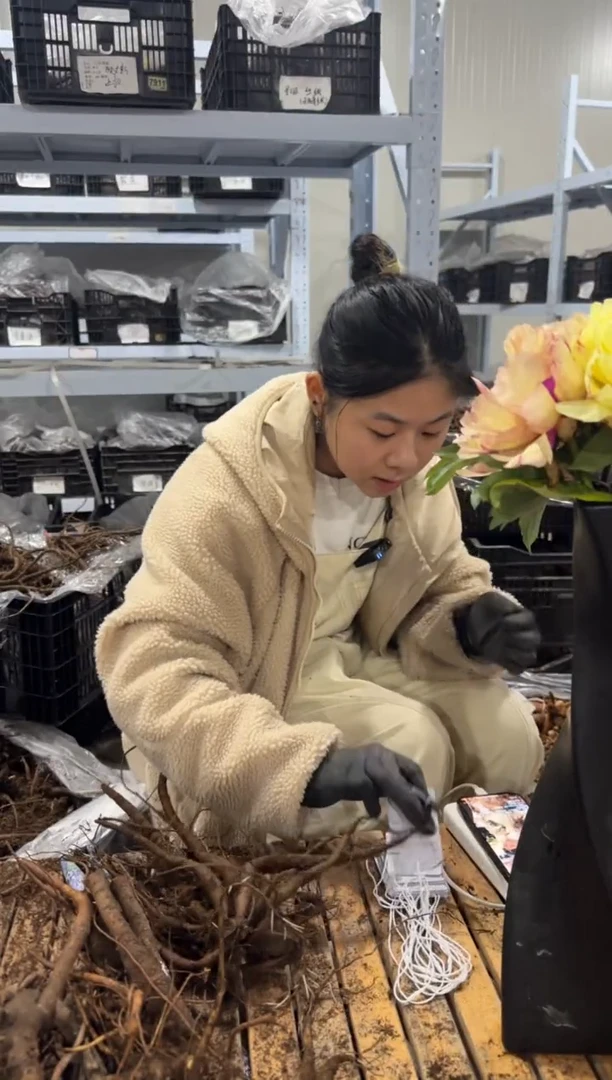 嫣* 嫣然  62.8  贝尔