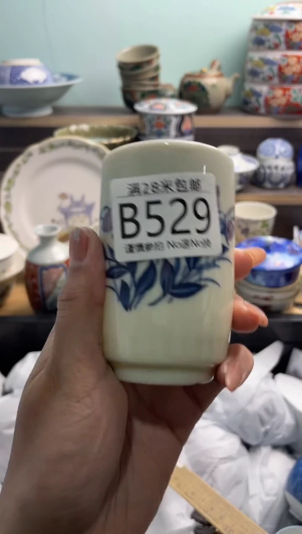 【闪购商品】B529***********