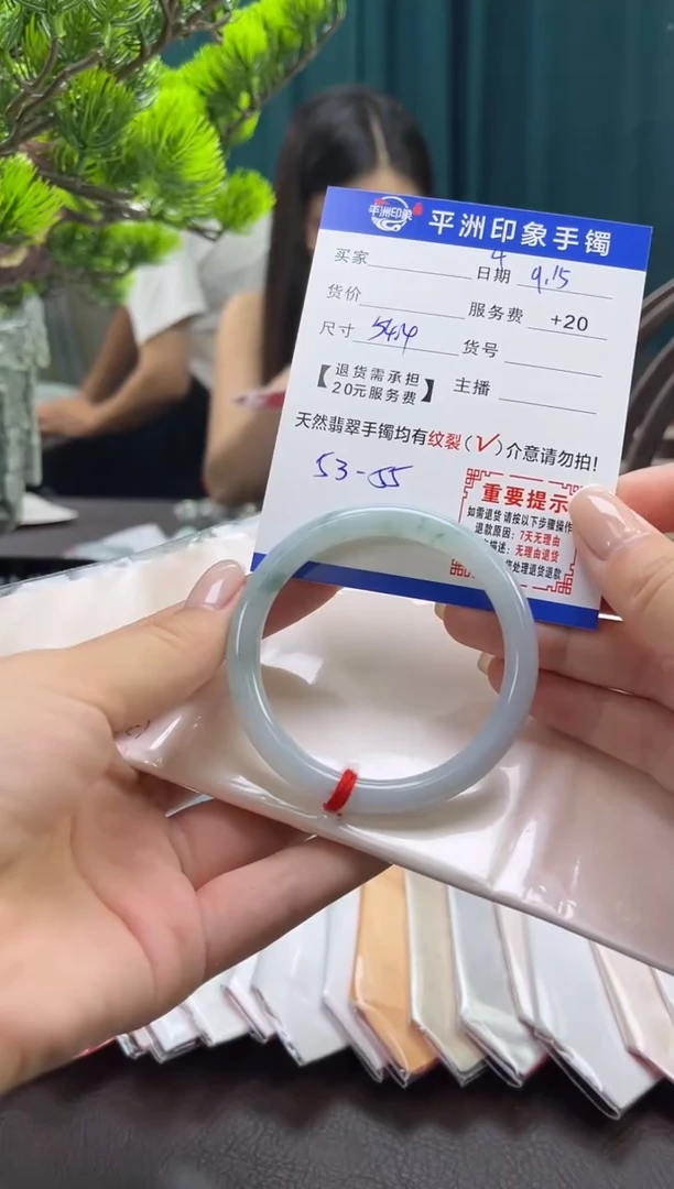 未镶嵌手镯翡翠（有鉴赏期）4
