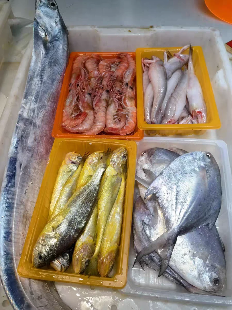 台州东海石塘小网海鲜家庭小套餐带鱼黄鱼鲳鱼龙头鱼虾水潺