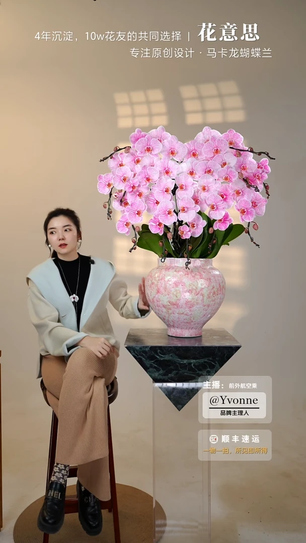 全部花朵058一物一拍蝴蝶兰艺术盆景
