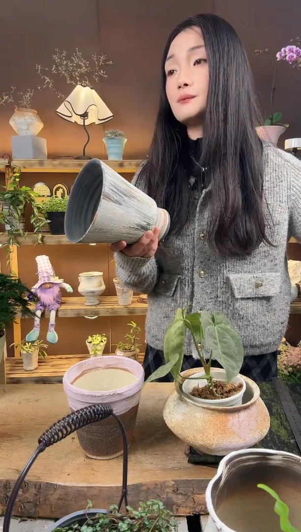 无花朵?****?368景德镇盆子