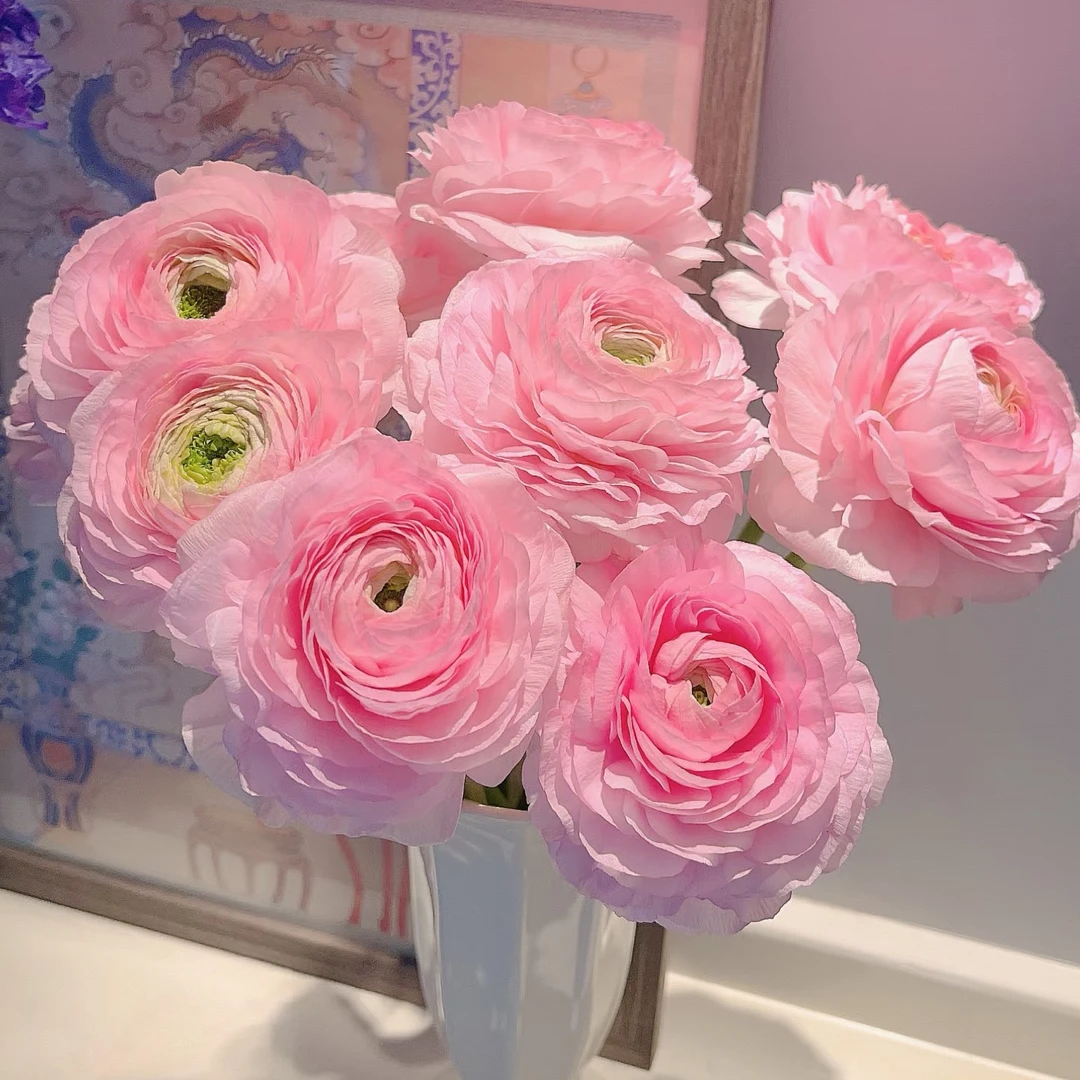 【独鬏鬏优选】云南鲜花 【可菲特】牡丹 家居瓶插鲜花 顺丰配送