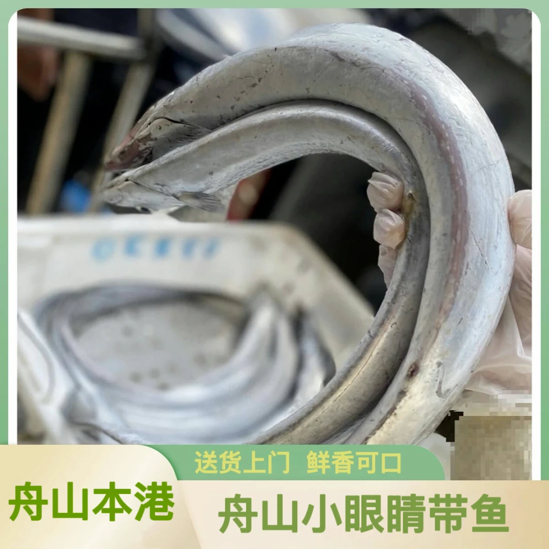 【5斤5条】【顶带受伤款】舟山带鱼小眼睛带鱼送货上门！介意受伤慎拍！