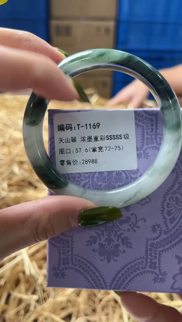 未镶嵌手镯石英质玉T1169