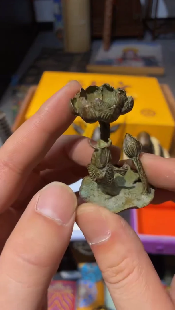 慧心甄选直播推荐