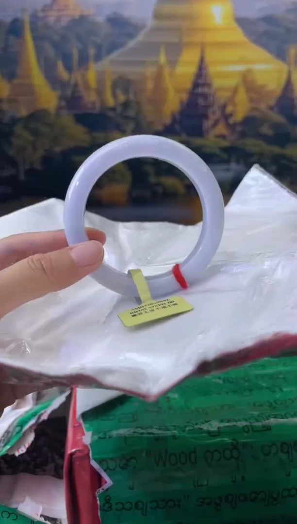 未镶嵌手镯翡翠4