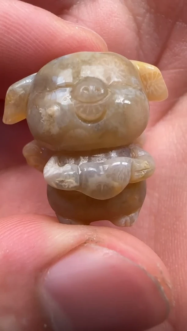 【闪购商品】硅化珊瑚（珊瑚玉）颈饰未镶嵌575