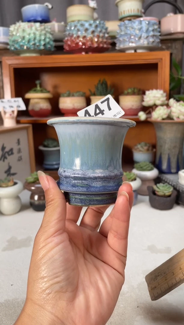 瓷片447小芳直播编号