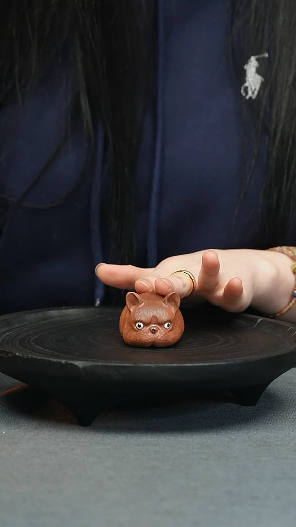 【闪购商品】茶宠茶宠-吉娃娃 茶宠-吉娃娃