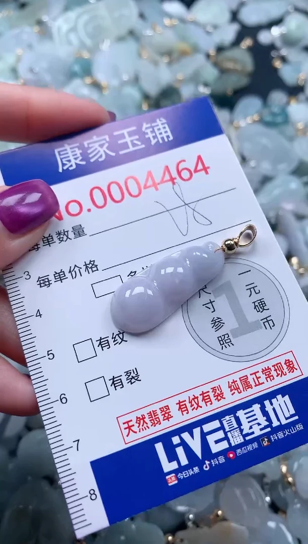 颈饰未镶嵌翡翠4464